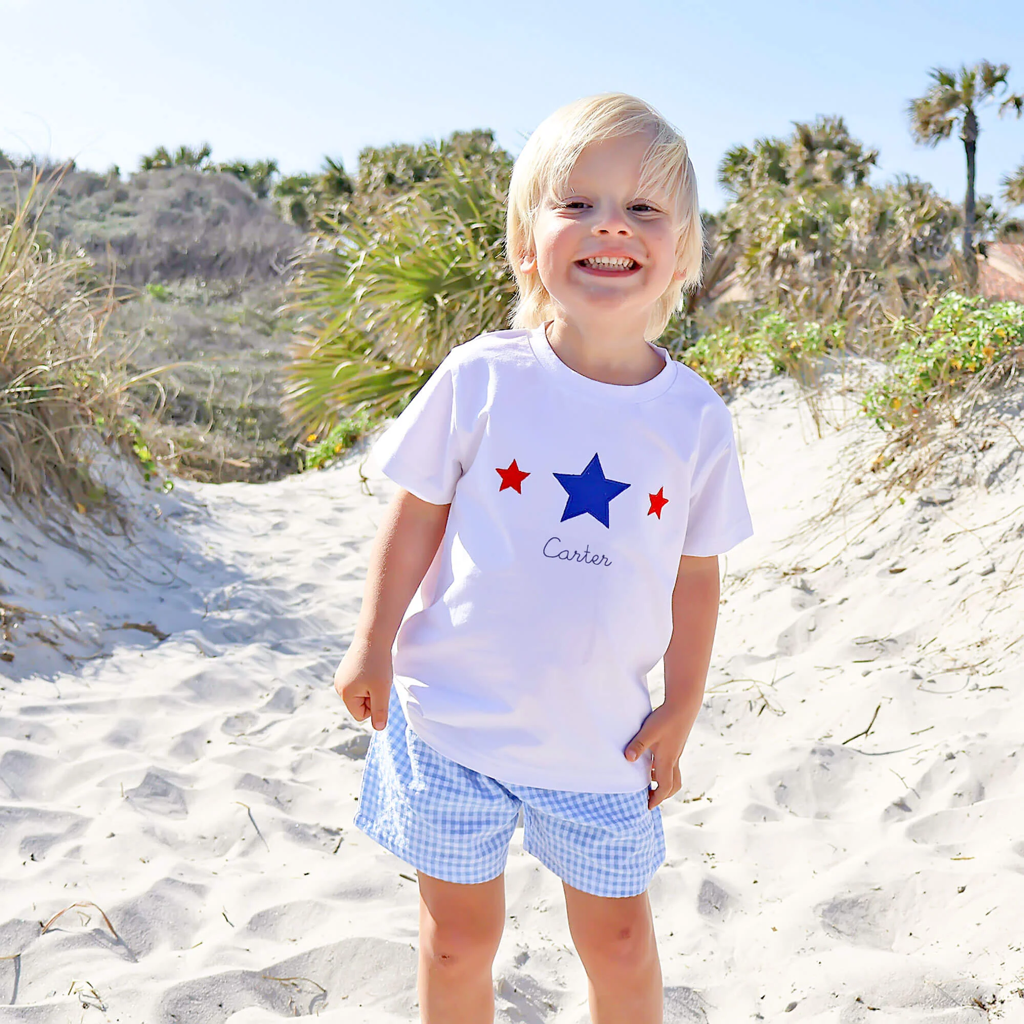 Star Spangled Light Blue Gingham Short Set